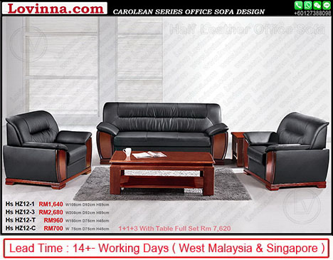 office sofa in leather