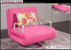 Fully Washabel Sofa Bed